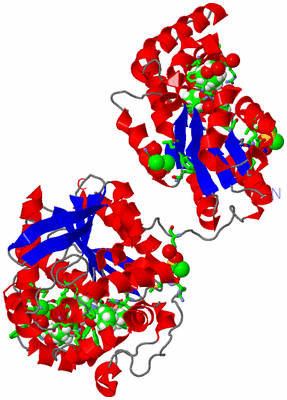 Image Asym./Biol. Unit - sites