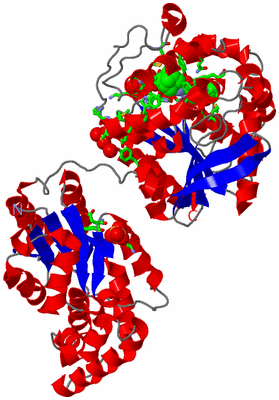 Image Asym./Biol. Unit - sites