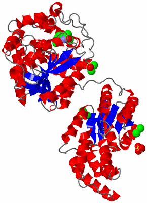 Image Asym./Biol. Unit