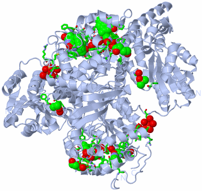 Image Biol. Unit 1 - sites