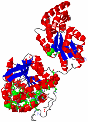 Image Asym. Unit - sites