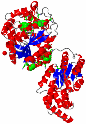 Image Asym. Unit - sites