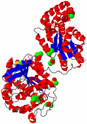 Image Asym./Biol. Unit