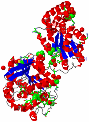 Image Asym./Biol. Unit - sites