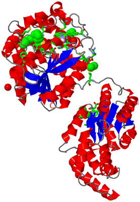 Image Asym./Biol. Unit - sites