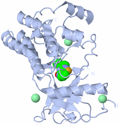 Image Biological Unit 1