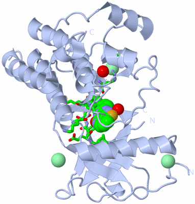 Image Biol. Unit 1 - sites