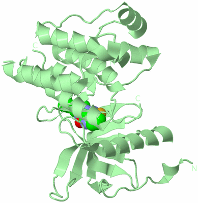 Image Biological Unit 2