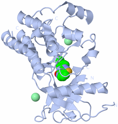 Image Biological Unit 1