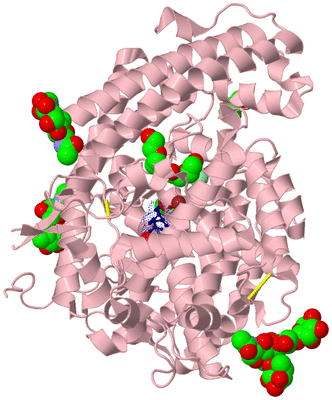 Image Biological Unit 1