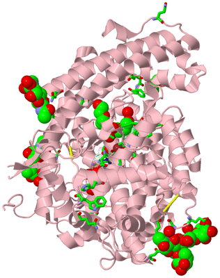 Image Biol. Unit 1 - sites