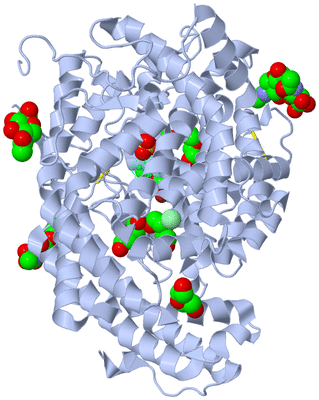 Image Biological Unit 2