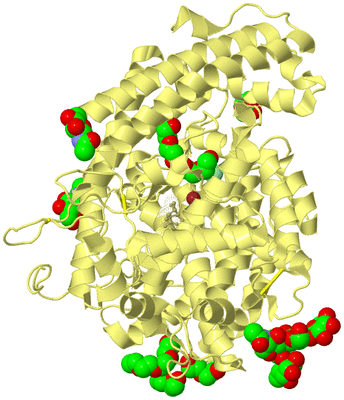 Image Biological Unit 3