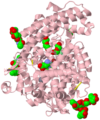 Image Biological Unit 1