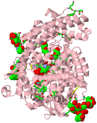 Image Biol. Unit 1 - sites