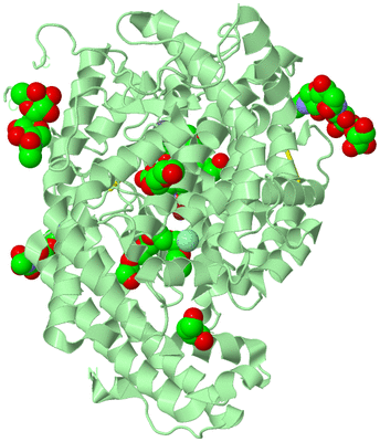 Image Biological Unit 2