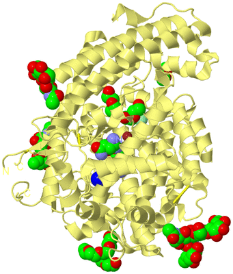 Image Biological Unit 3