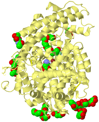 Image Biological Unit 1