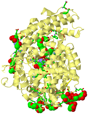 Image Biol. Unit 1 - sites