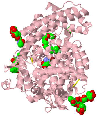 Image Biological Unit 2