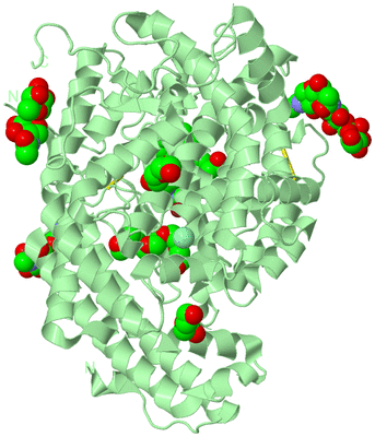 Image Biological Unit 4