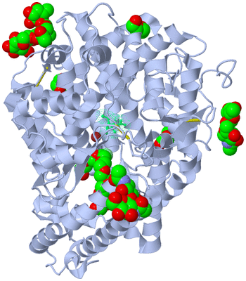 Image Biological Unit 1