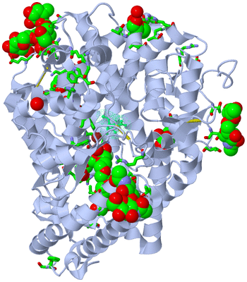 Image Biol. Unit 1 - sites