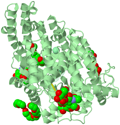 Image Biological Unit 2