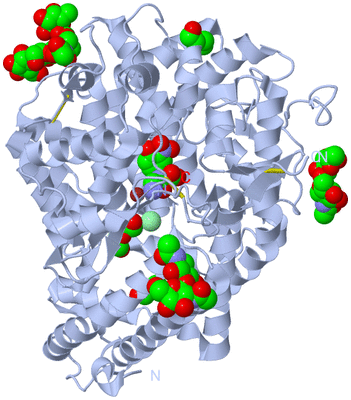 Image Biological Unit 1