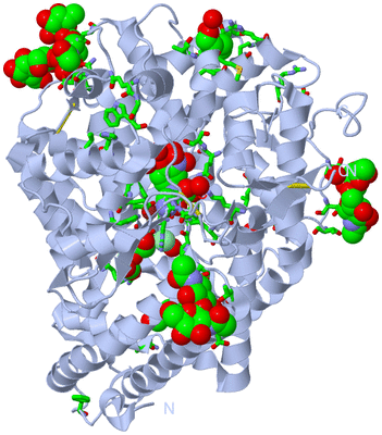 Image Biol. Unit 1 - sites