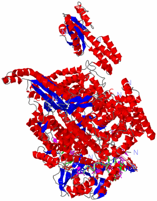 Image Asym./Biol. Unit