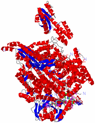 Image Asym./Biol. Unit