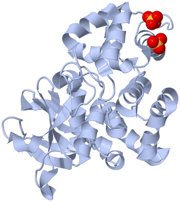 Image Biological Unit 1