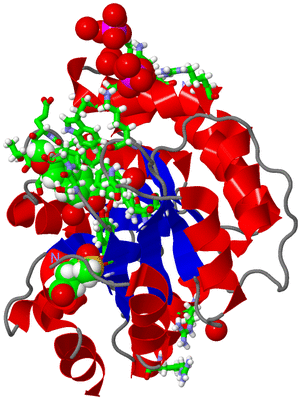 Image Asym./Biol. Unit - sites