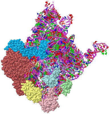 Image Asym./Biol. Unit