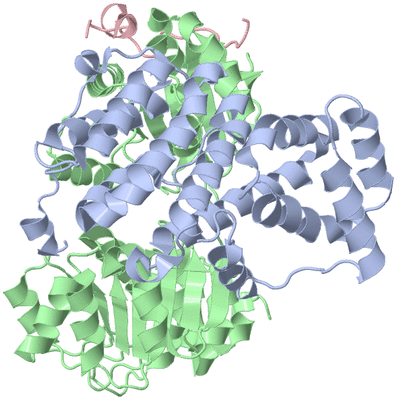 Image Biological Unit 1