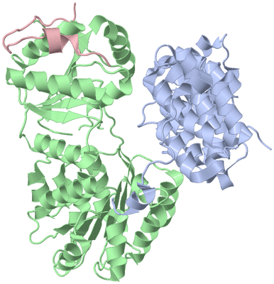 Image Biological Unit 2