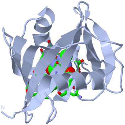 Image Biol. Unit 1 - sites