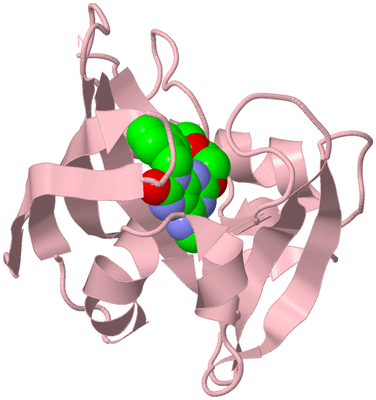 Image Biological Unit 3