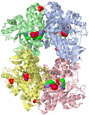 Image Asym./Biol. Unit