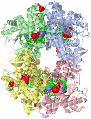 Image Asym./Biol. Unit - sites