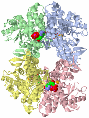 Image Asym./Biol. Unit