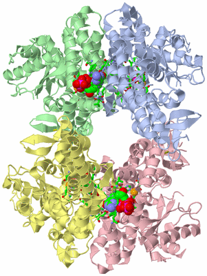 Image Asym./Biol. Unit - sites