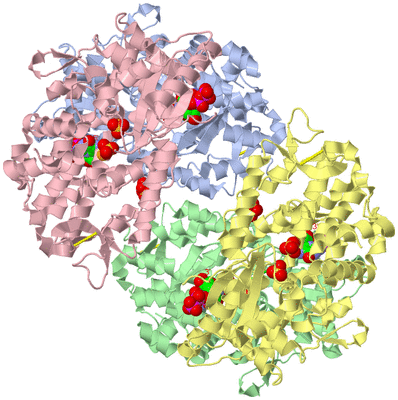 Image Asym./Biol. Unit