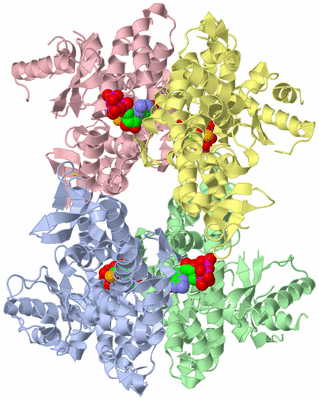 Image Asym./Biol. Unit