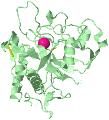 Image Biological Unit 2