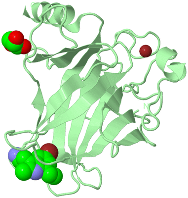 Image Biological Unit 2