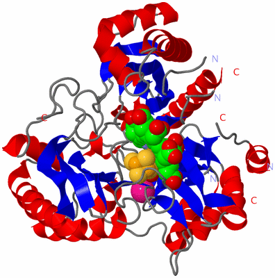 Image Asym./Biol. Unit