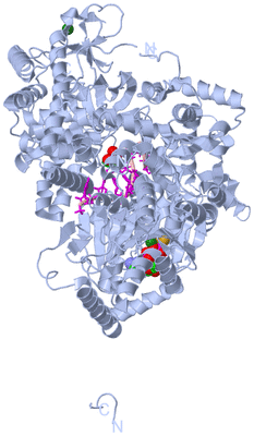 Image Biological Unit 1