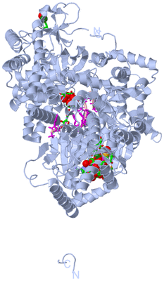 Image Biol. Unit 1 - sites